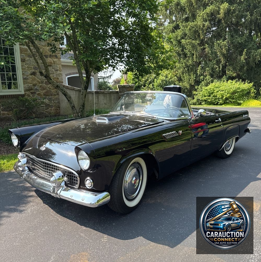 1955 Ford Thunderbird Convertible