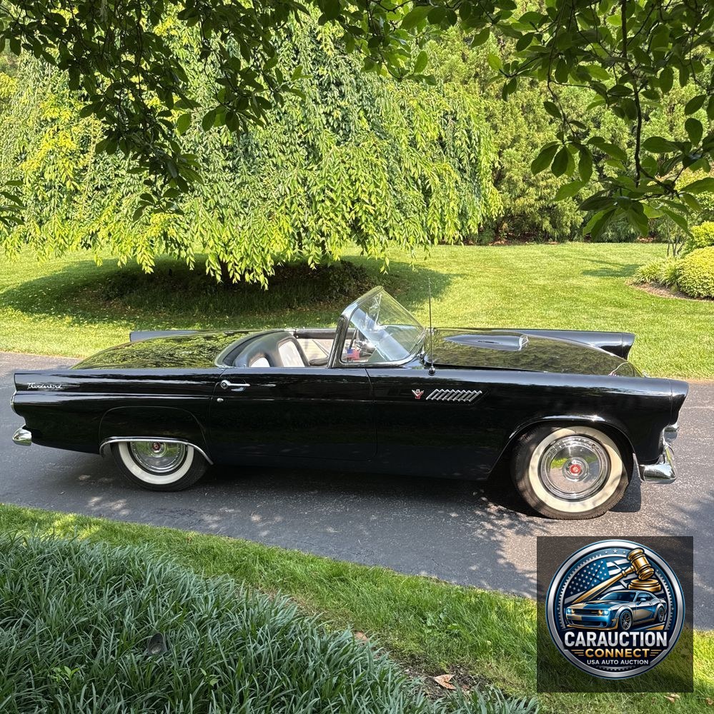 1955 Ford Thunderbird Convertible