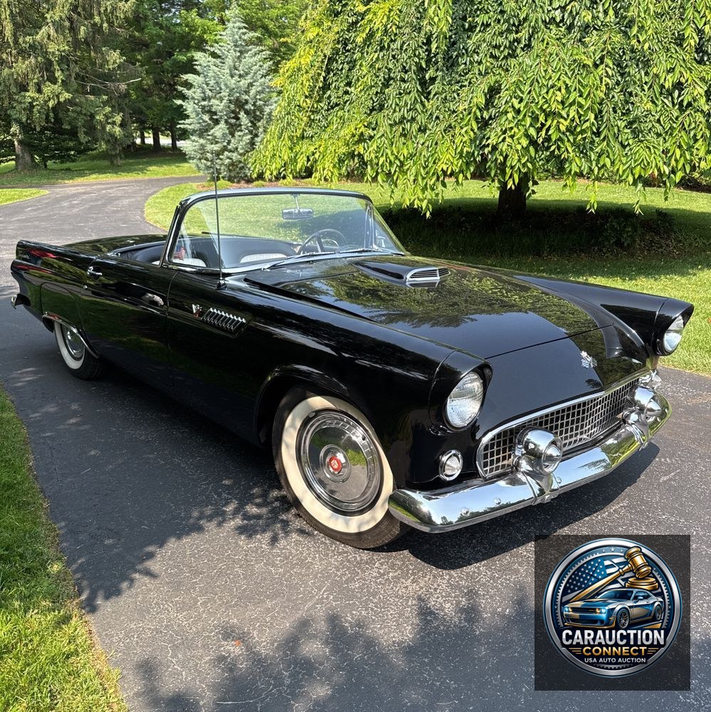 1955 Ford Thunderbird Convertible