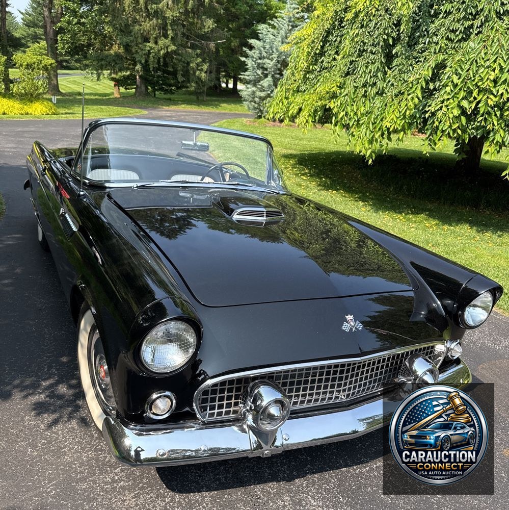 1955 Ford Thunderbird Convertible