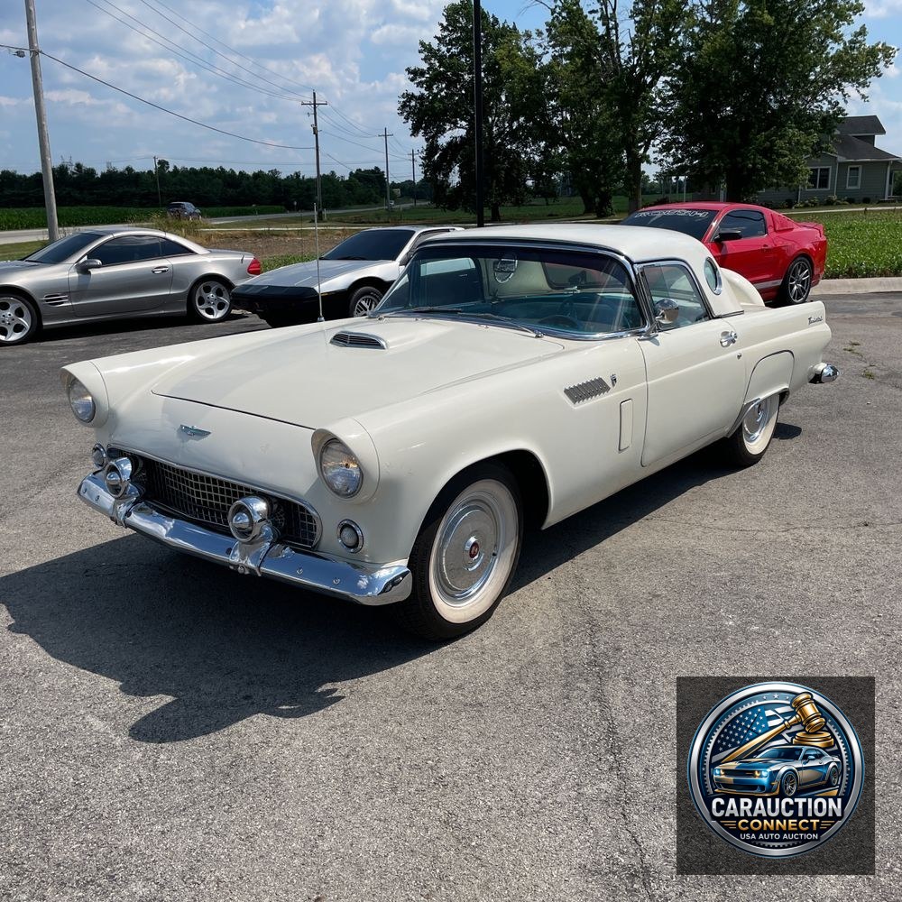 1956 Ford Thunderbird  1