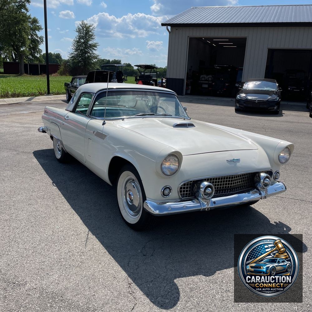 1956 Ford Thunderbird  1