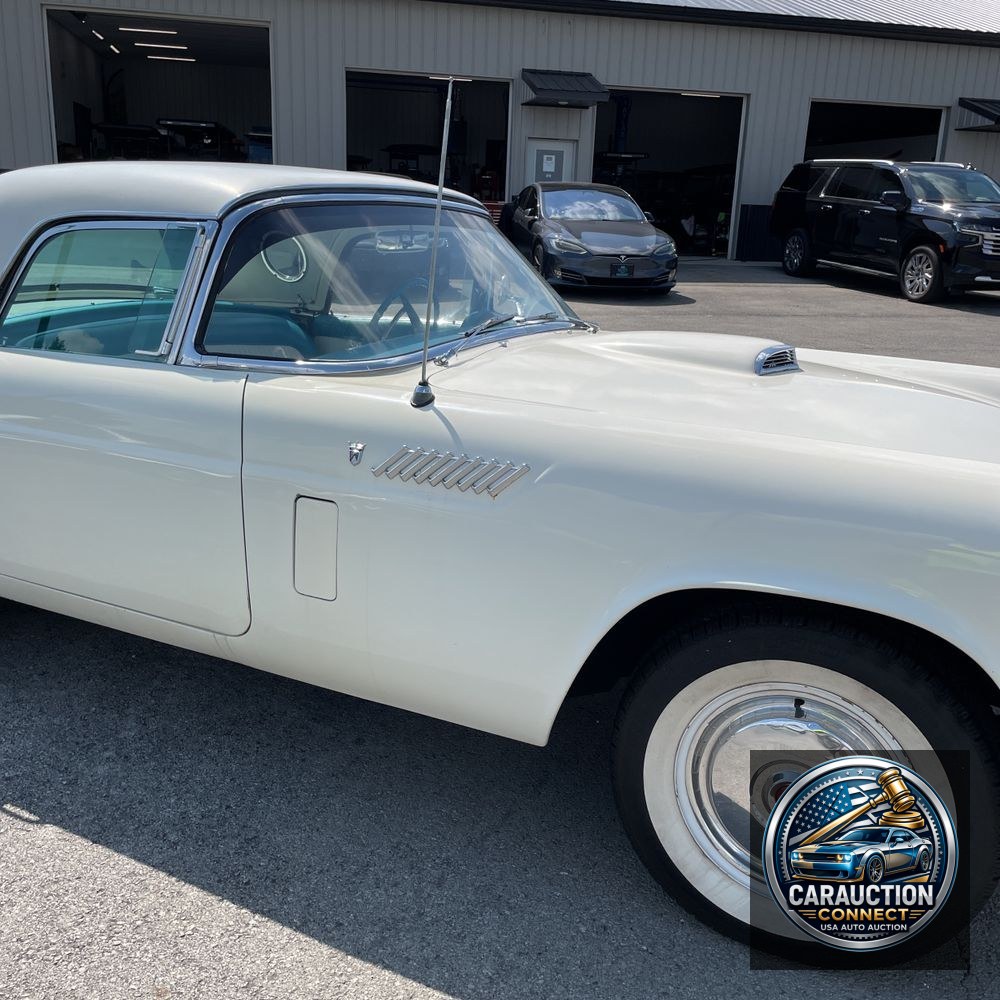1956 Ford Thunderbird  1