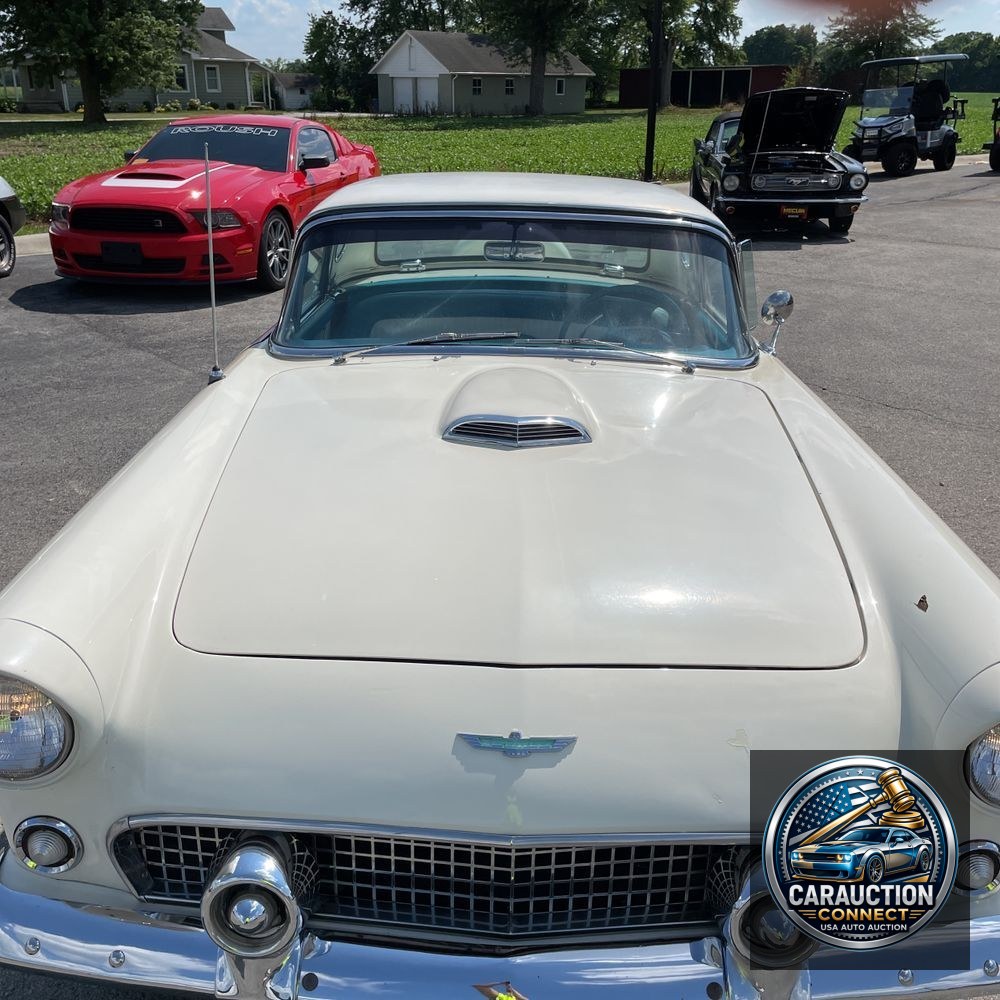 1956 Ford Thunderbird  1