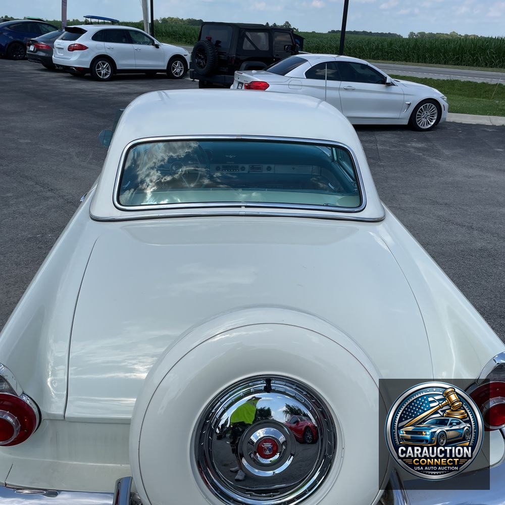 1956 Ford Thunderbird  1