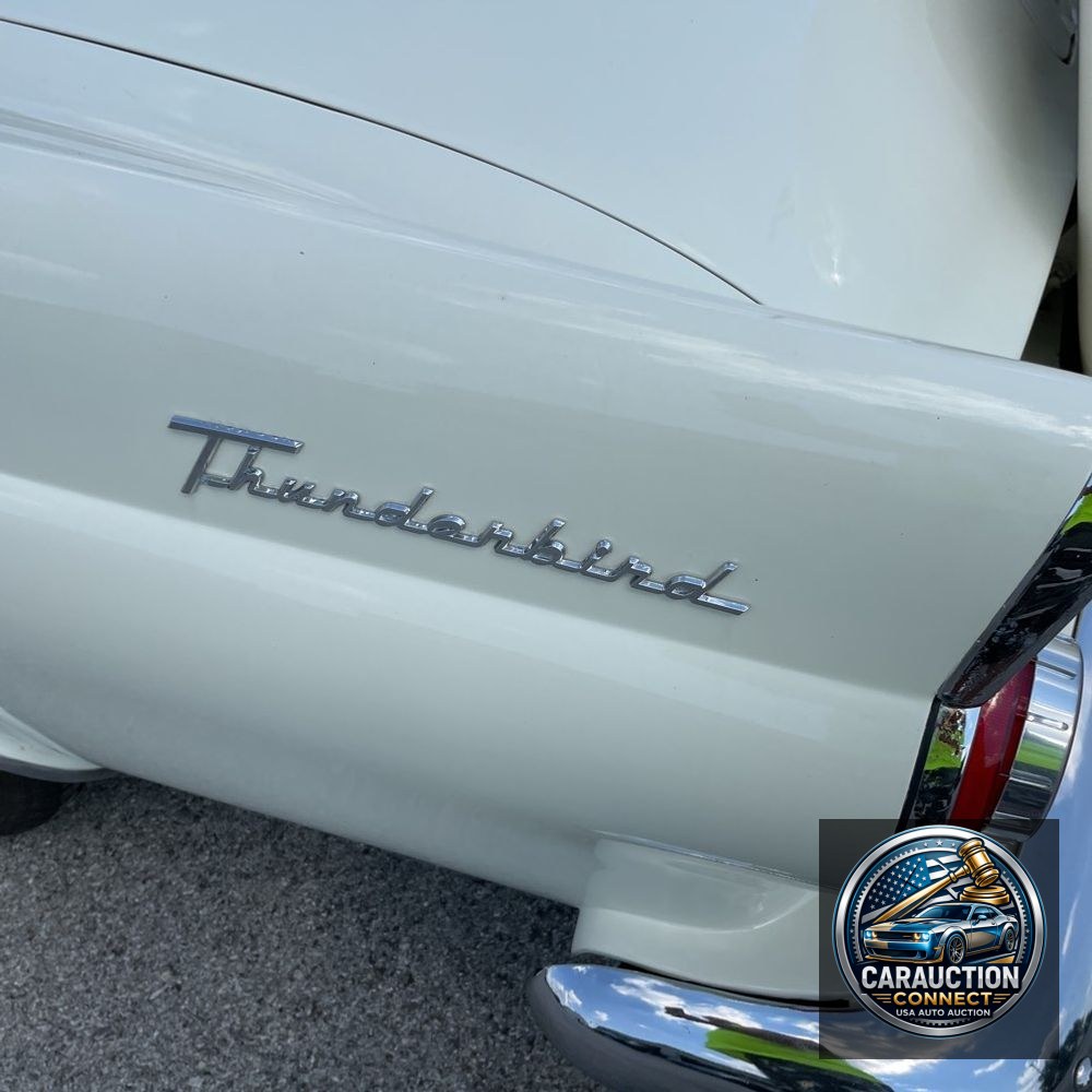 1956 Ford Thunderbird  1