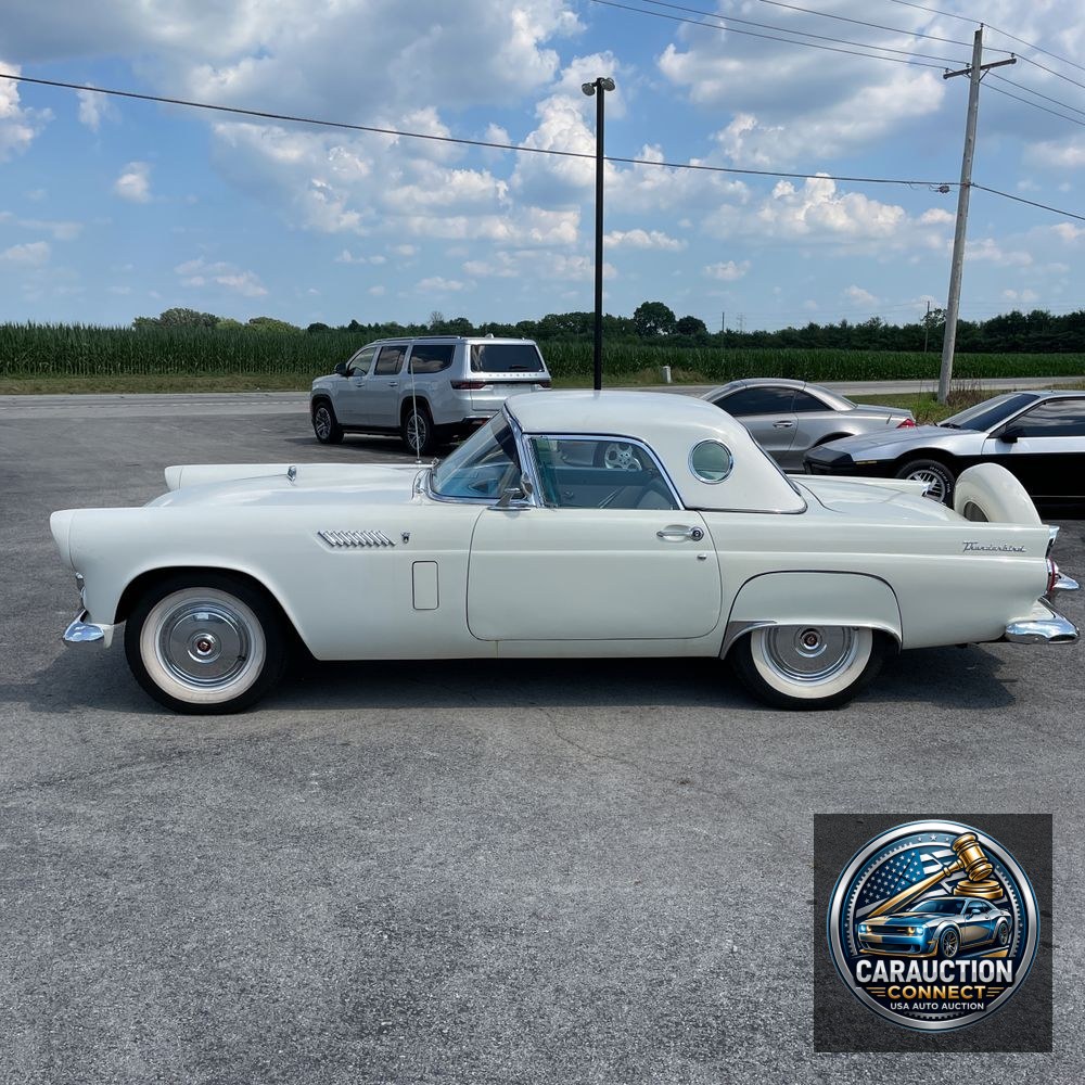 1956 Ford Thunderbird  1