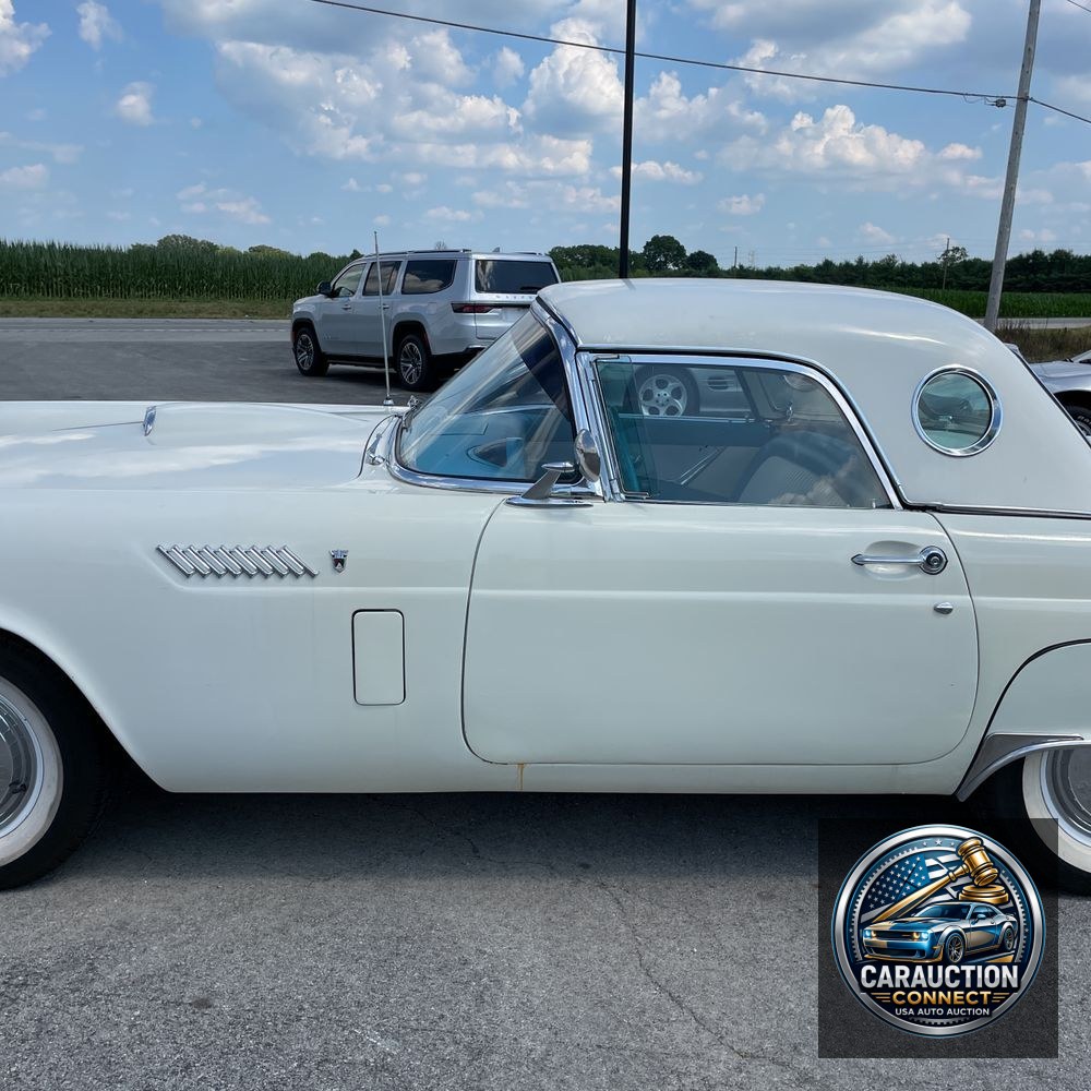 1956 Ford Thunderbird  1