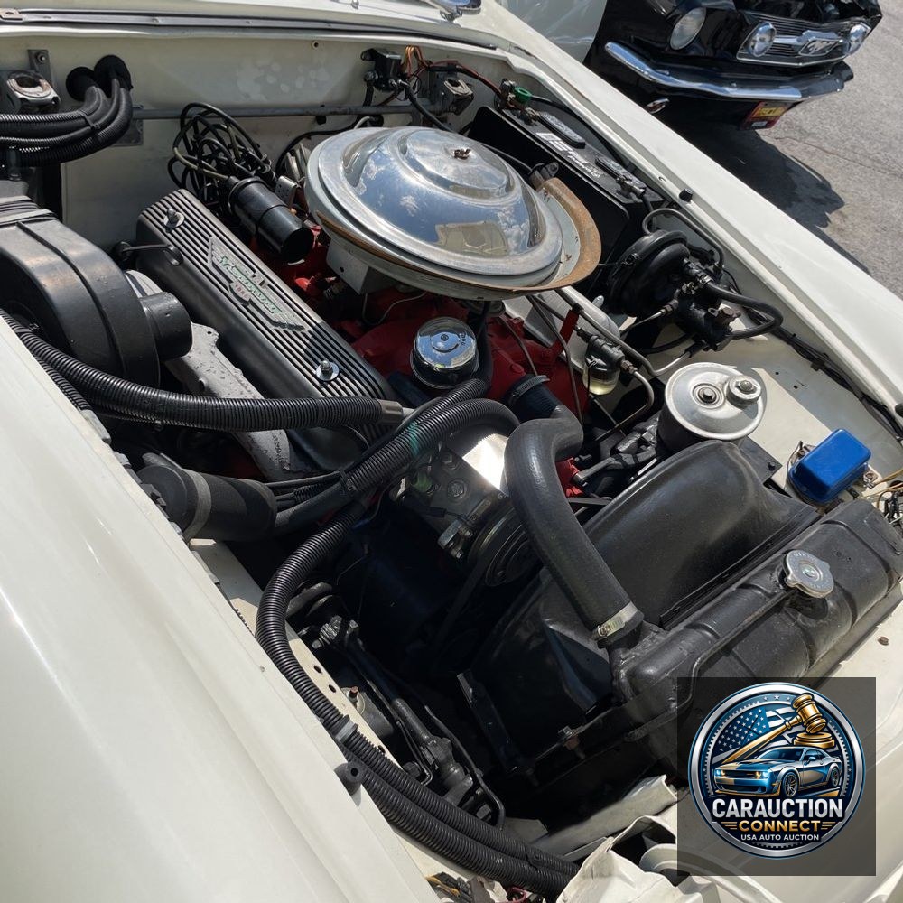 1956 Ford Thunderbird  1