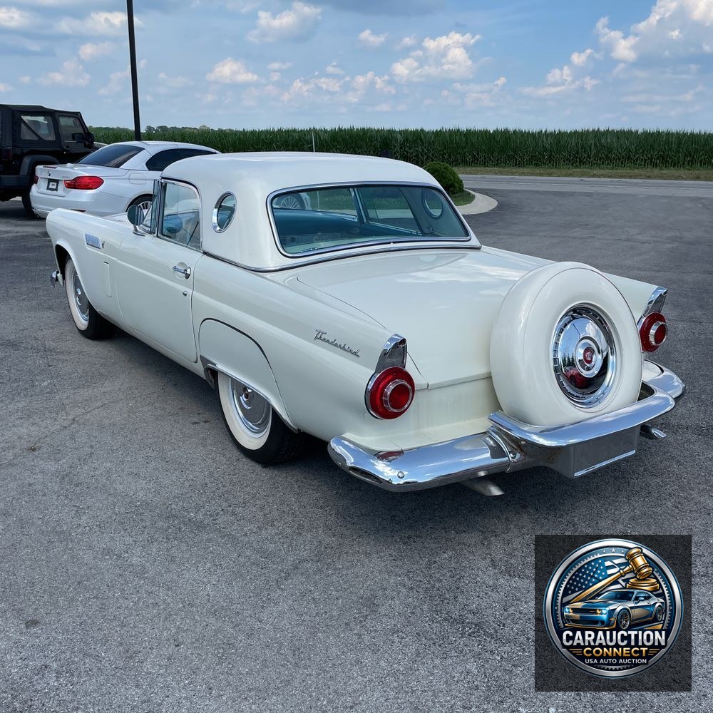 1956 Ford Thunderbird  1