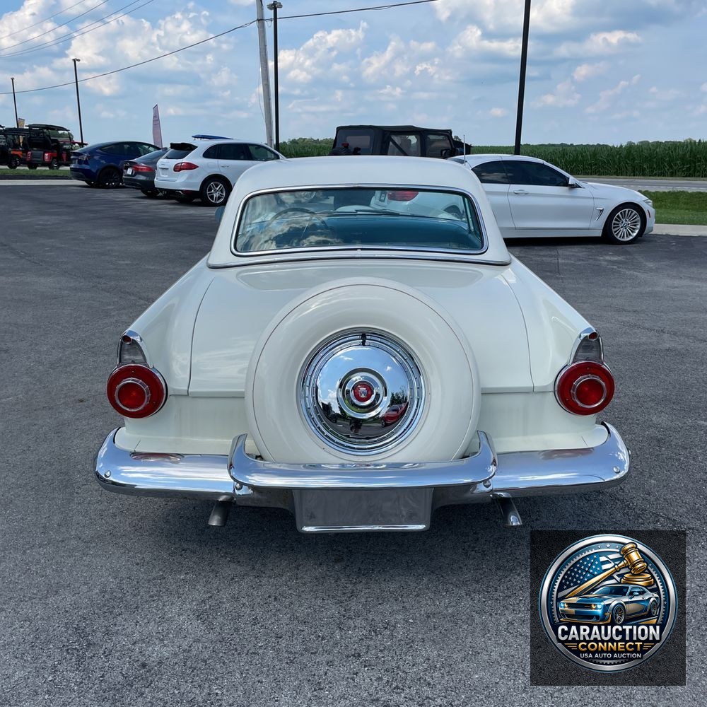 1956 Ford Thunderbird  1