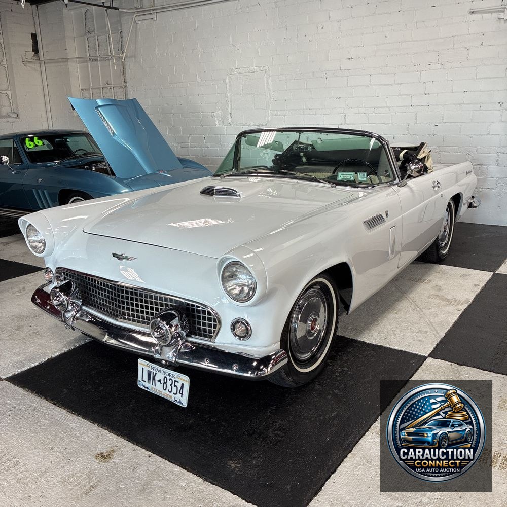 1956 Ford Thunderbird Base