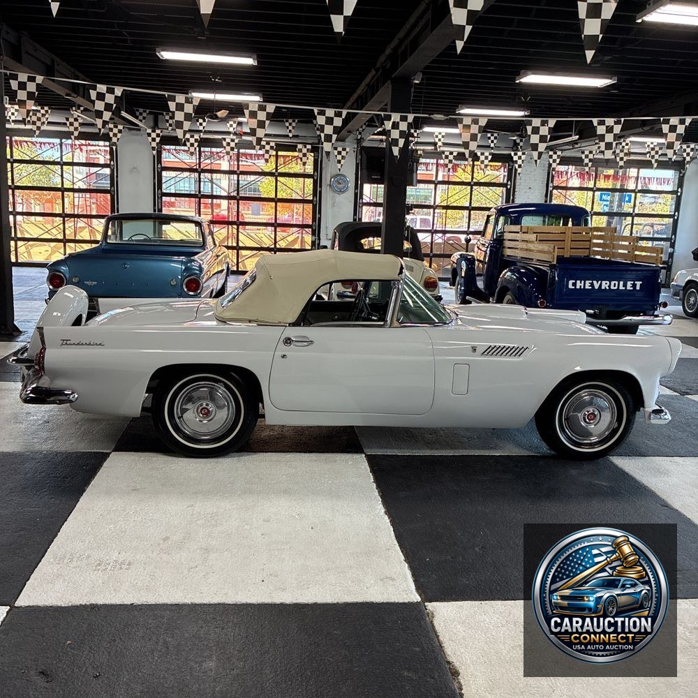 1956 Ford Thunderbird Base
