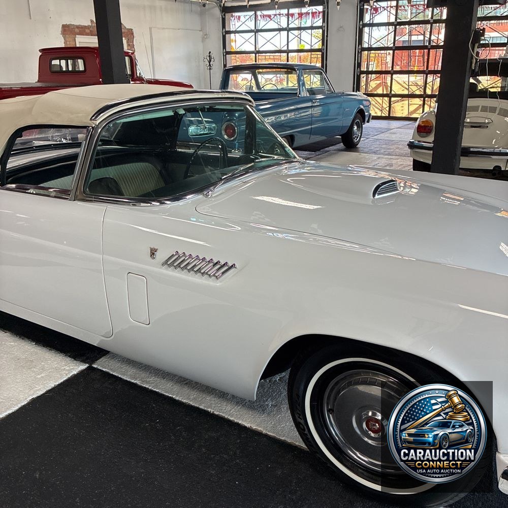 1956 Ford Thunderbird Base