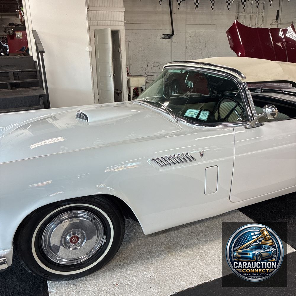 1956 Ford Thunderbird Base