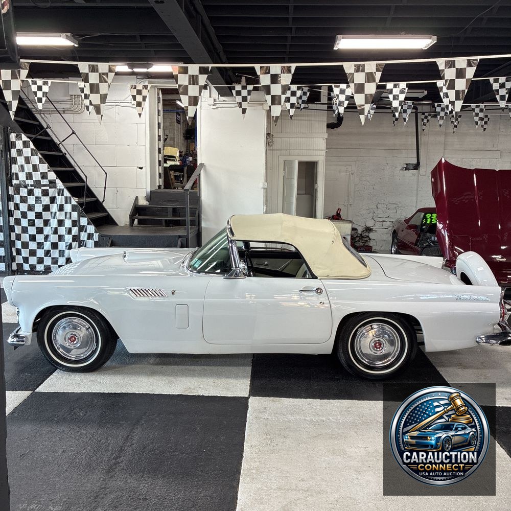 1956 Ford Thunderbird Base