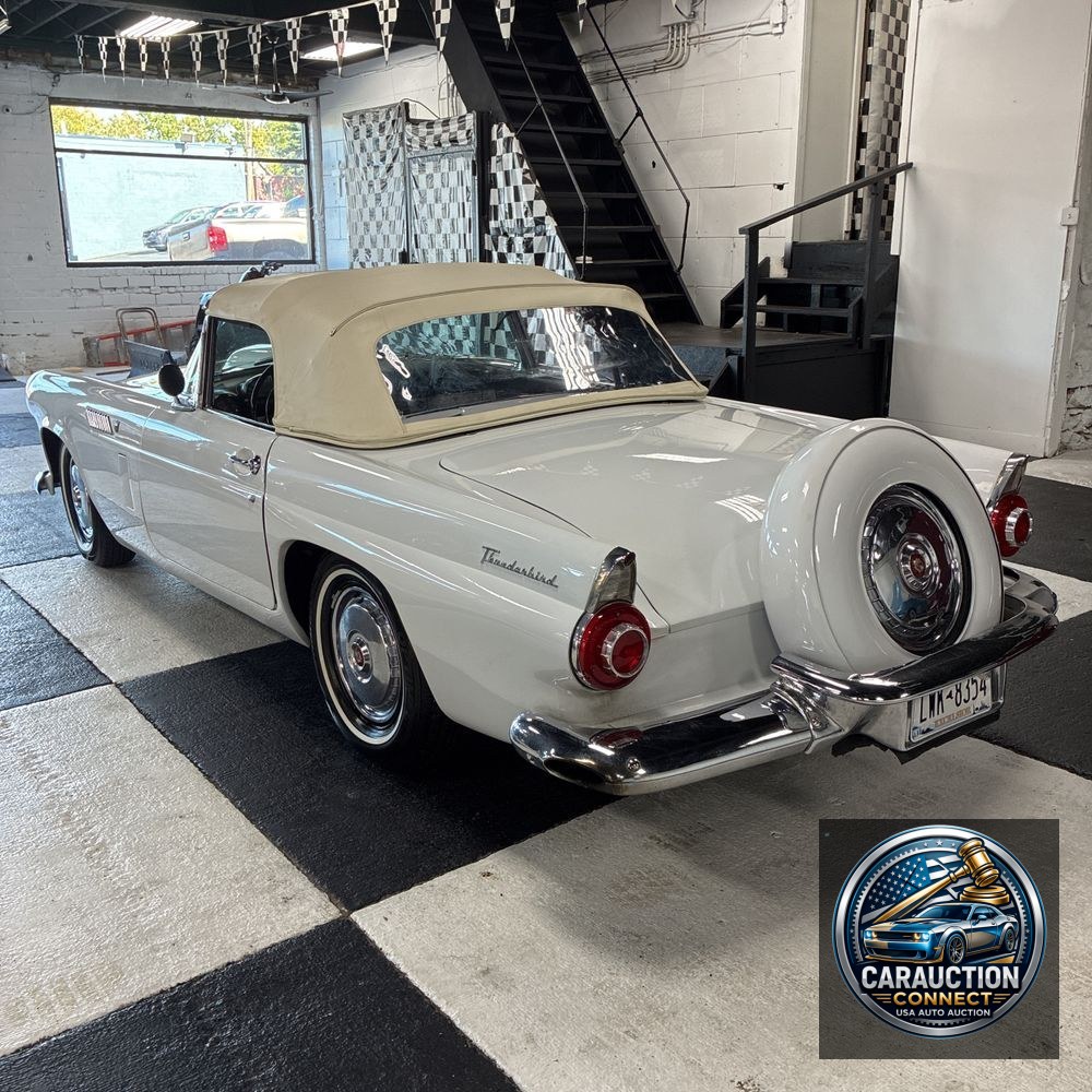 1956 Ford Thunderbird Base