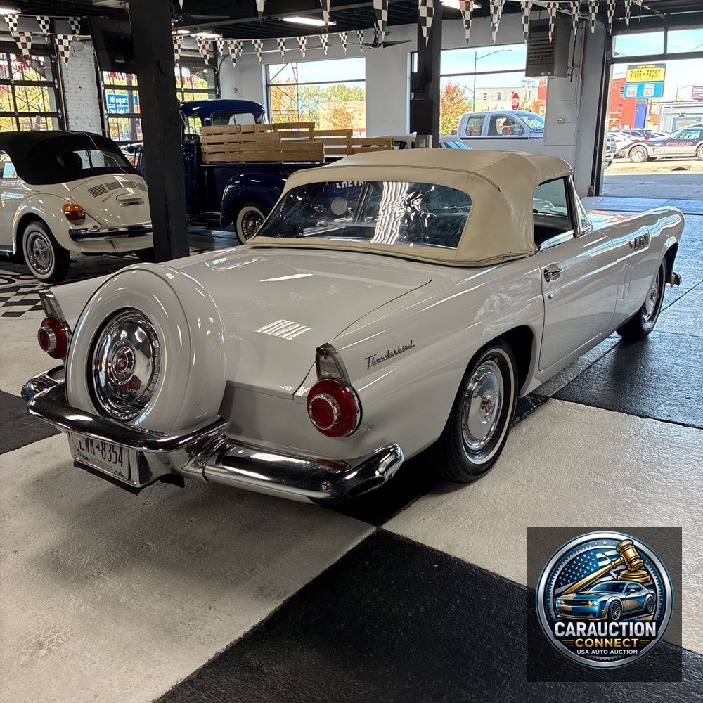 1956 Ford Thunderbird Base