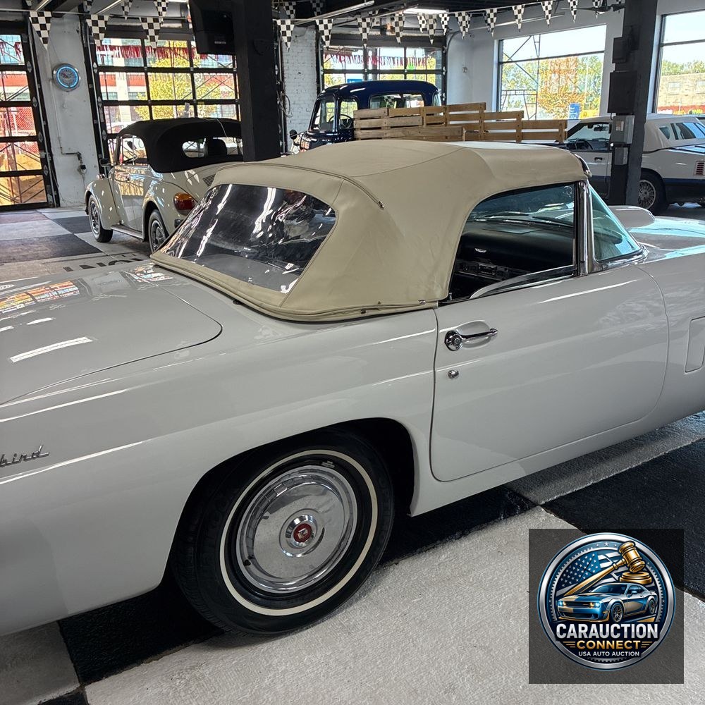 1956 Ford Thunderbird Base