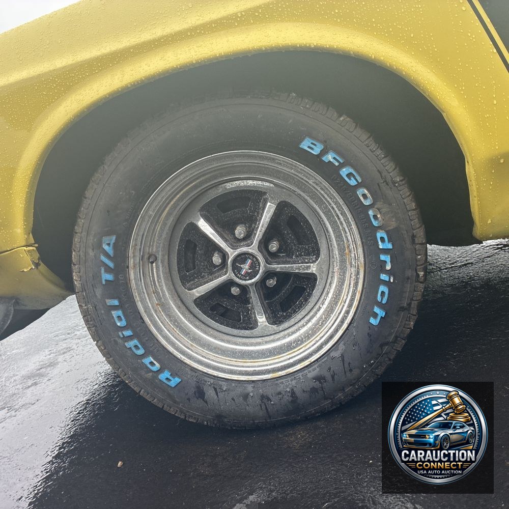 1970 Ford Mustang 1