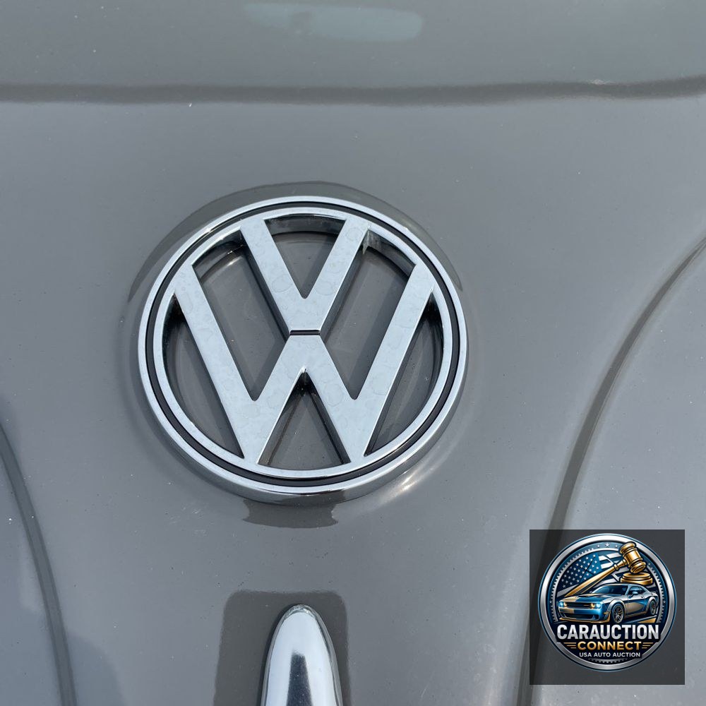 1966 Volkswagen  Beetle Hard Top
