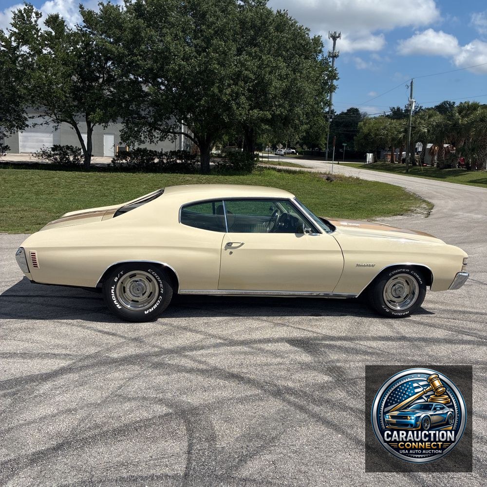 1971 Chevrolet  Chevelle Malibu