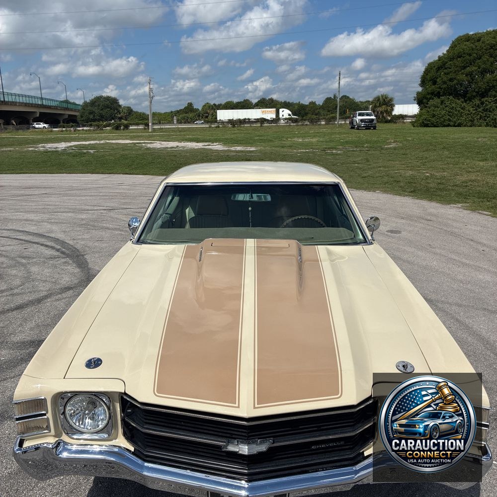1971 Chevrolet  Chevelle Malibu