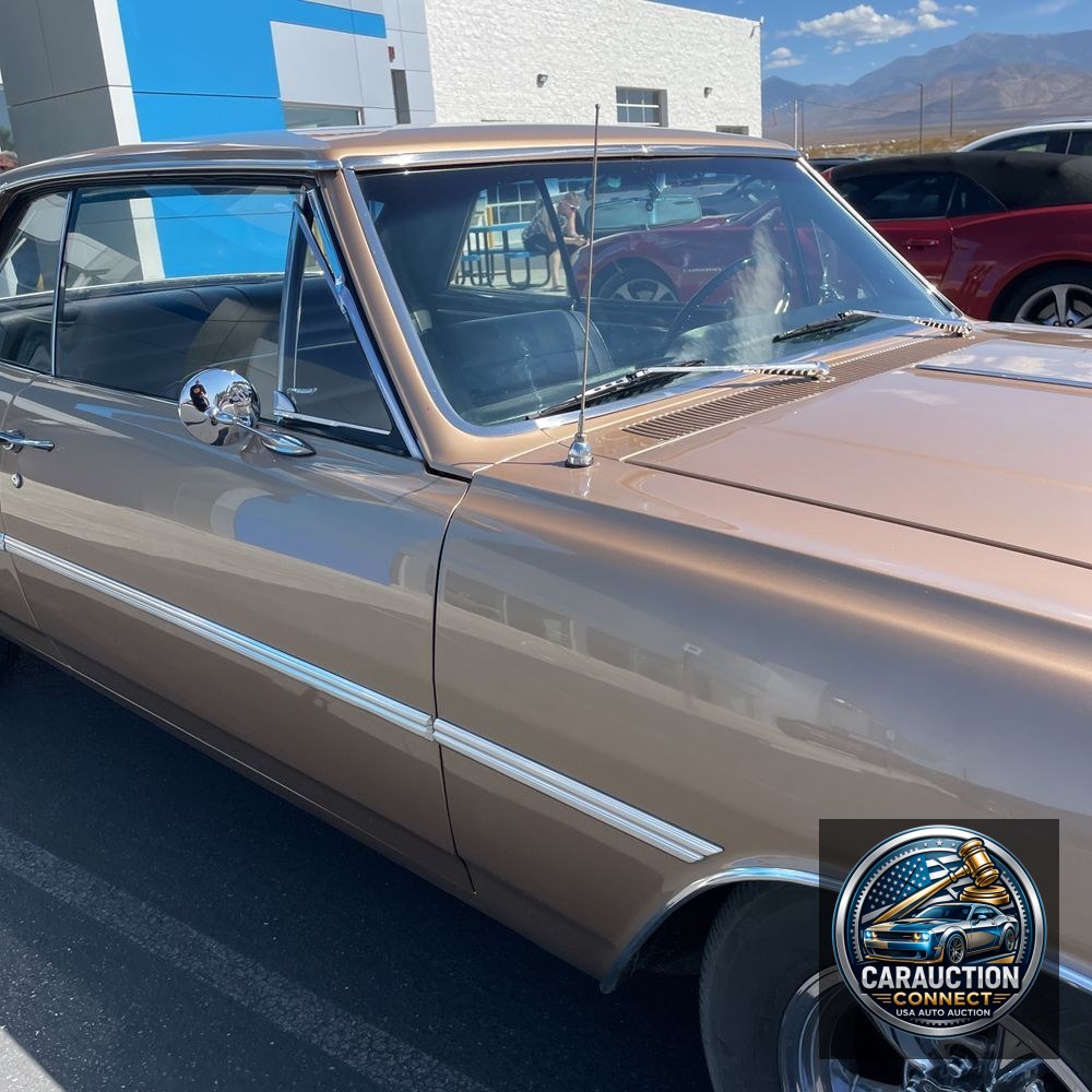 1965 Chevrolet  Malibu  Chevelle