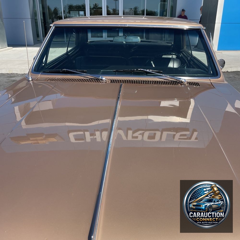 1965 Chevrolet  Malibu  Chevelle