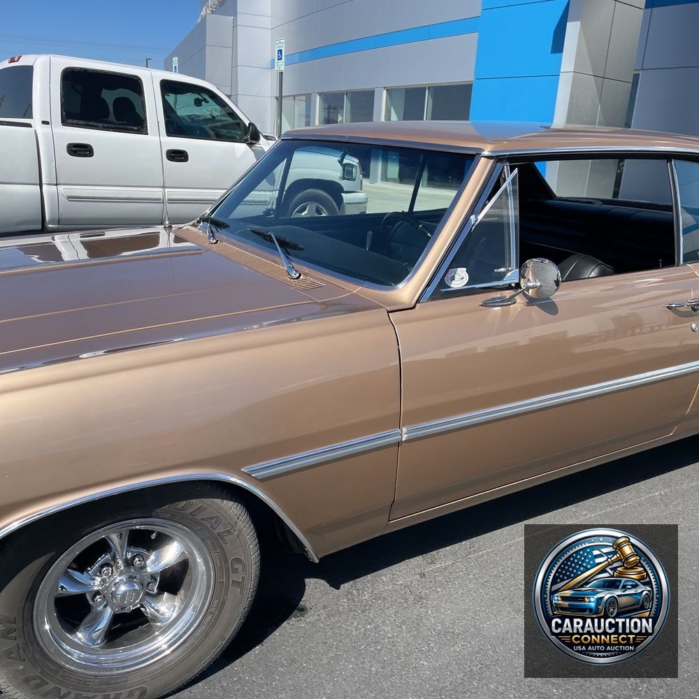 1965 Chevrolet  Malibu  Chevelle