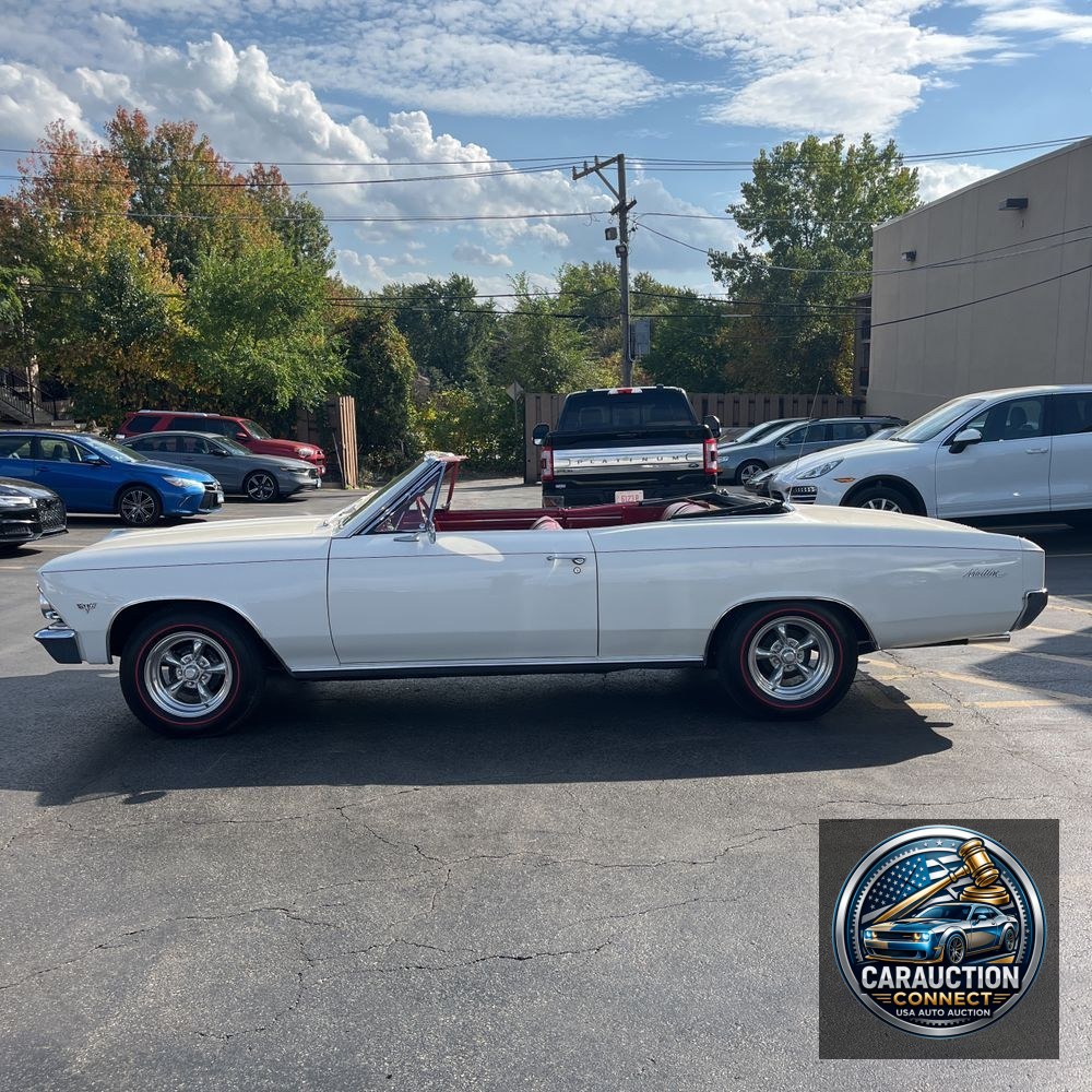 1966 Chevrolet  Malibu Chevelle