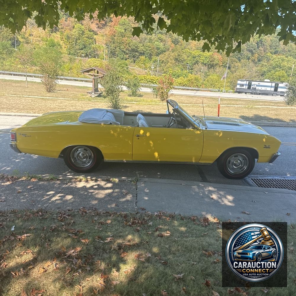 1967 Chevrolet  Chevelle SS Tribute Malibu