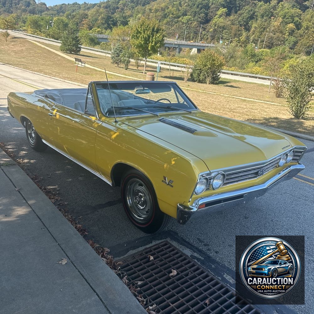 1967 Chevrolet  Chevelle SS Tribute Malibu