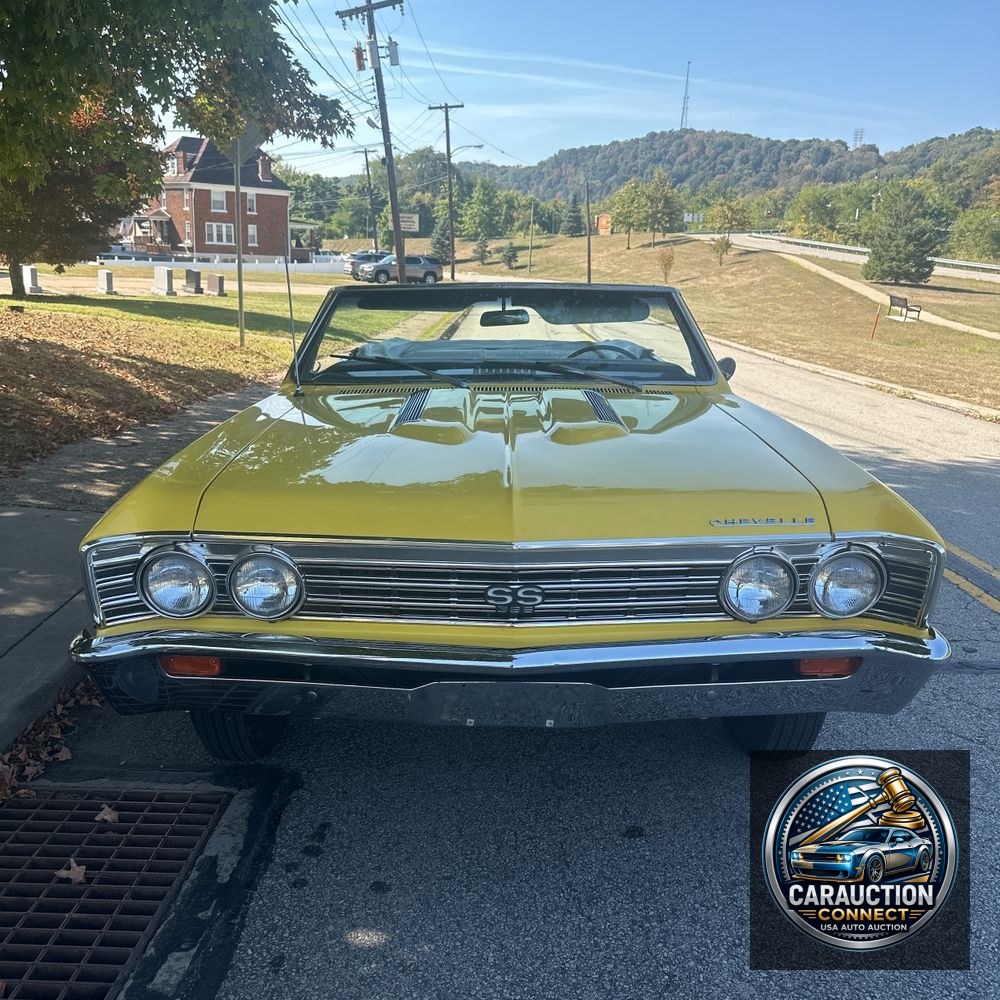 1967 Chevrolet  Chevelle SS Tribute Malibu