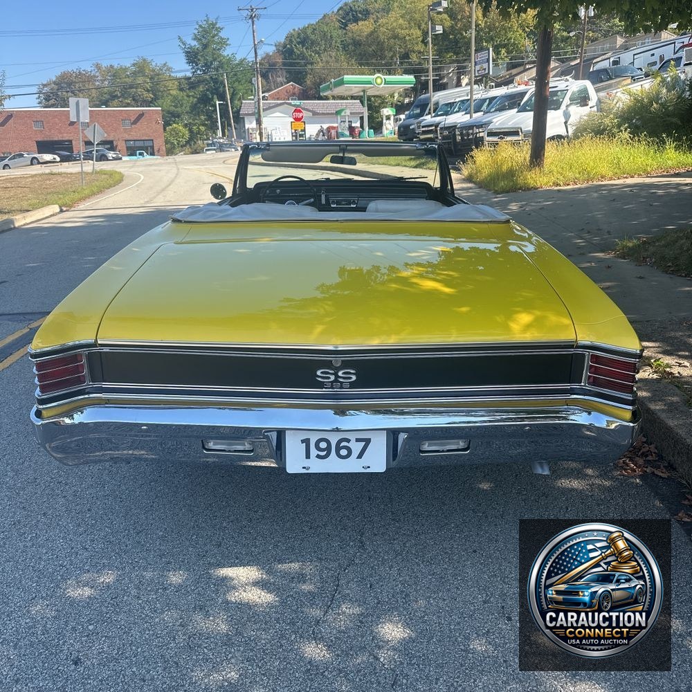 1967 Chevrolet  Chevelle SS Tribute Malibu