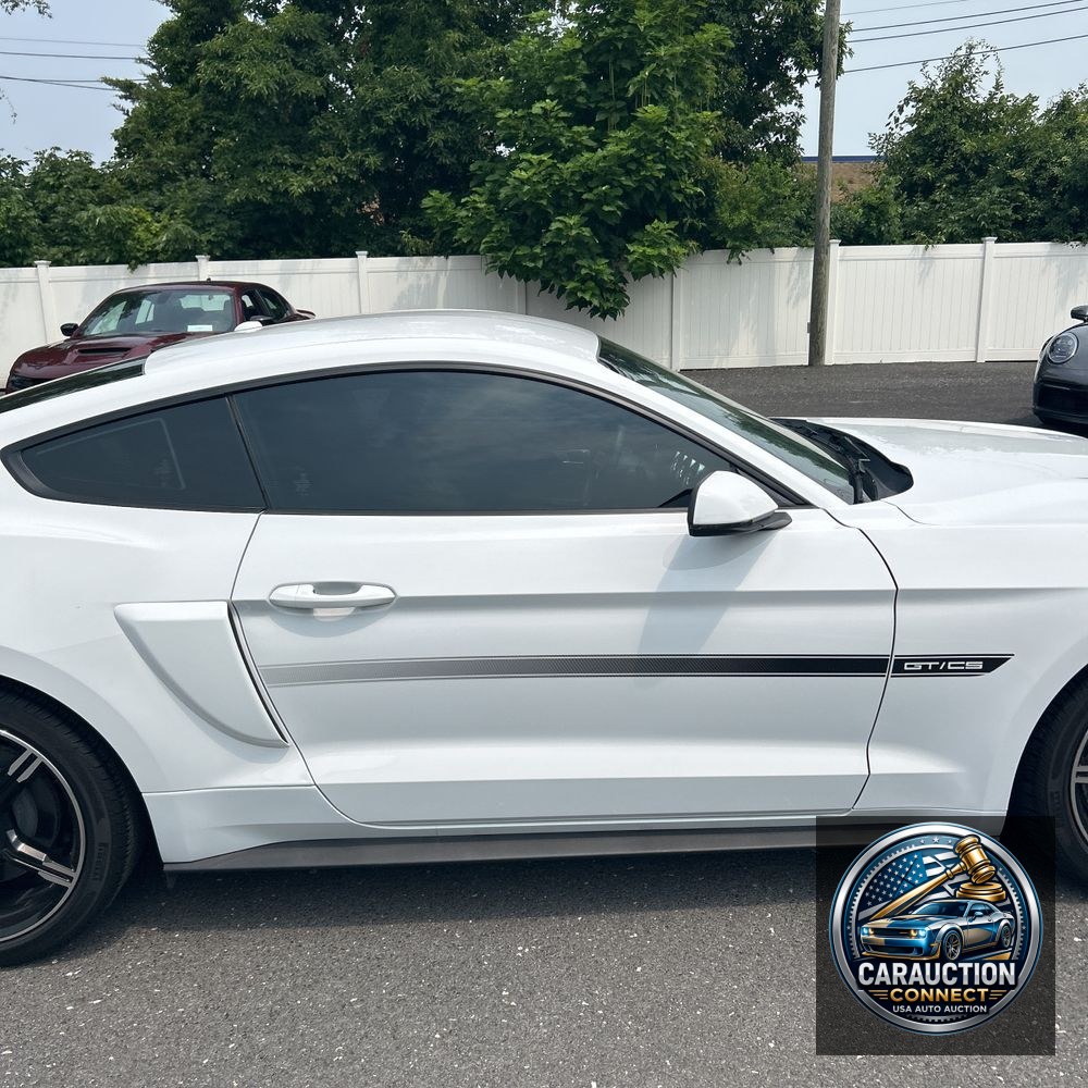 2019 Ford Mustang GT Premium