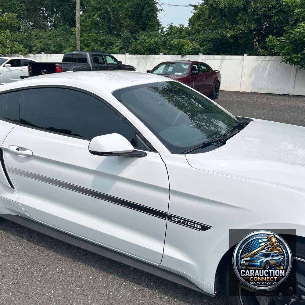 2019 Ford Mustang GT Premium