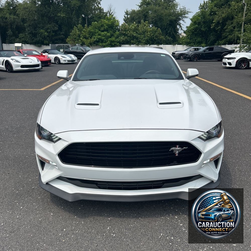 2019 Ford Mustang GT Premium
