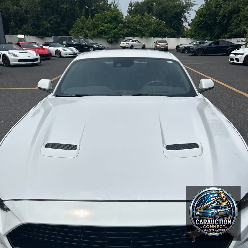 2019 Ford Mustang GT Premium