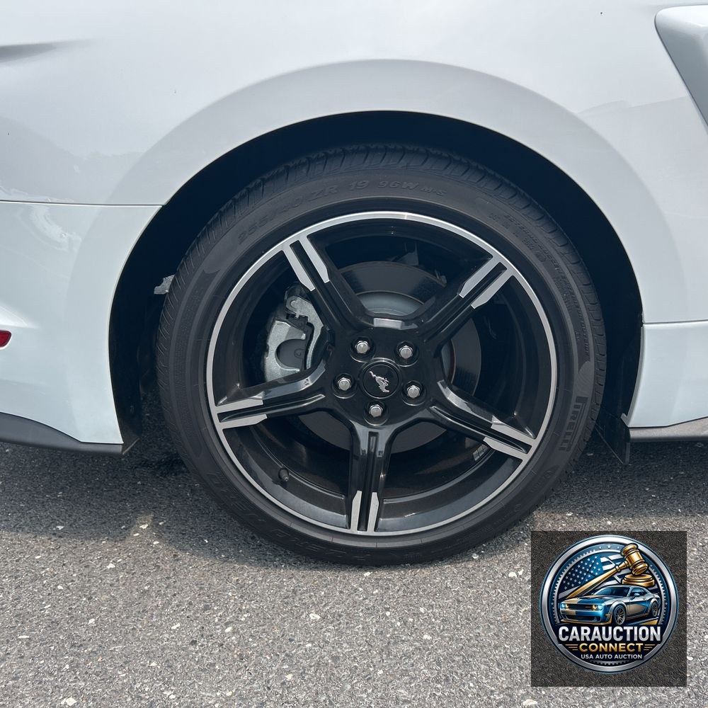 2019 Ford Mustang GT Premium