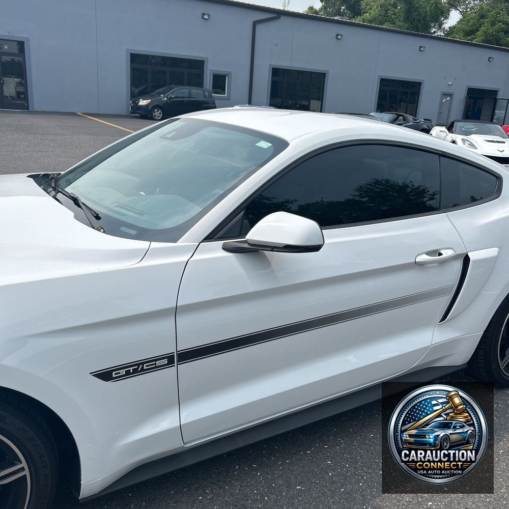 2019 Ford Mustang GT Premium