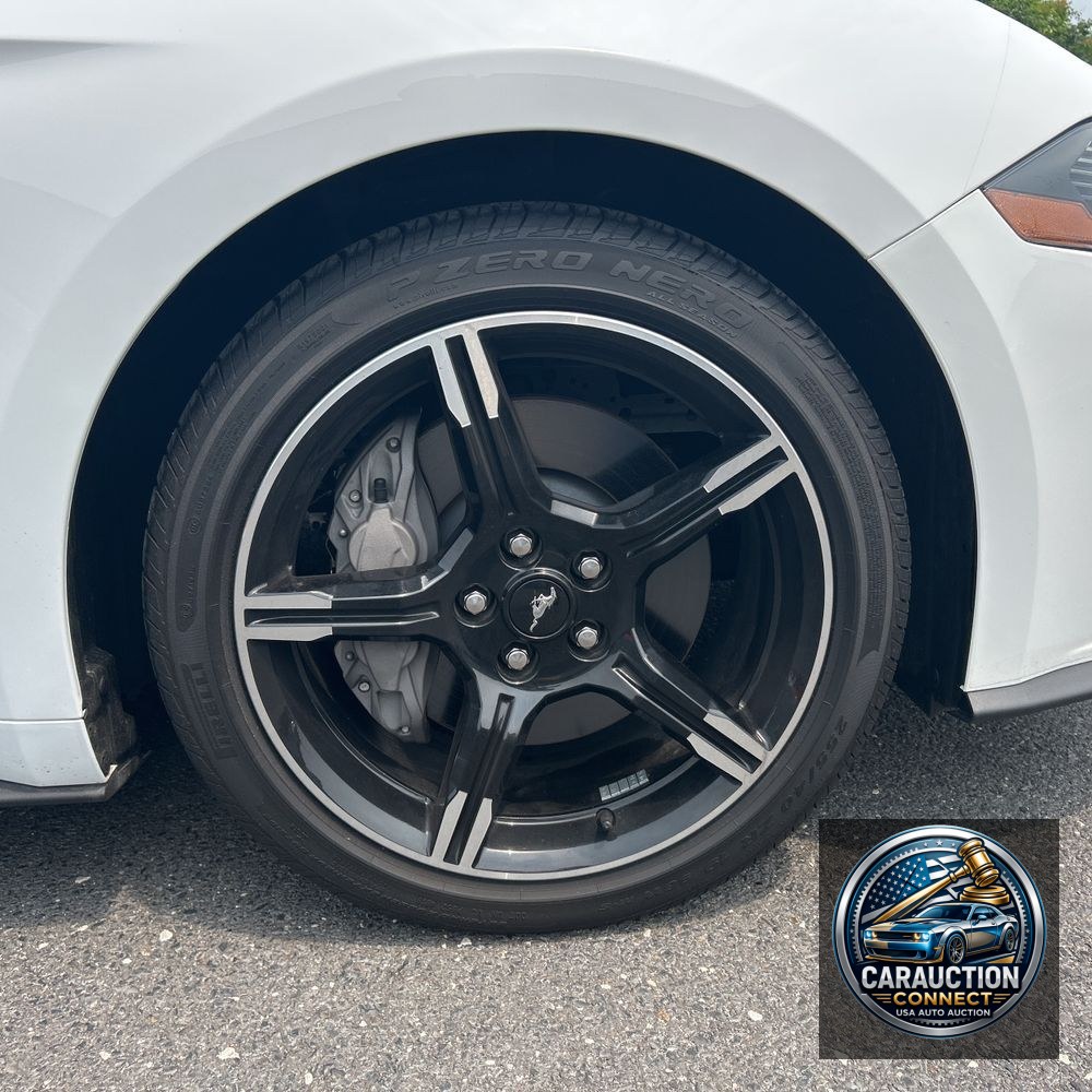 2019 Ford Mustang GT Premium