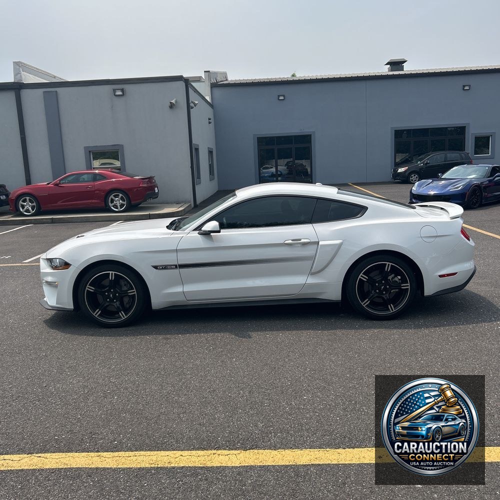 2019 Ford Mustang GT Premium