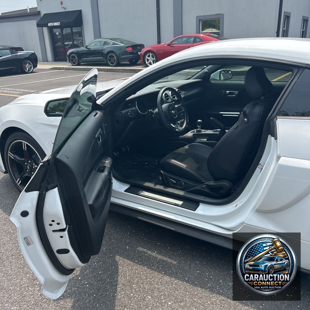 2019 Ford Mustang GT Premium