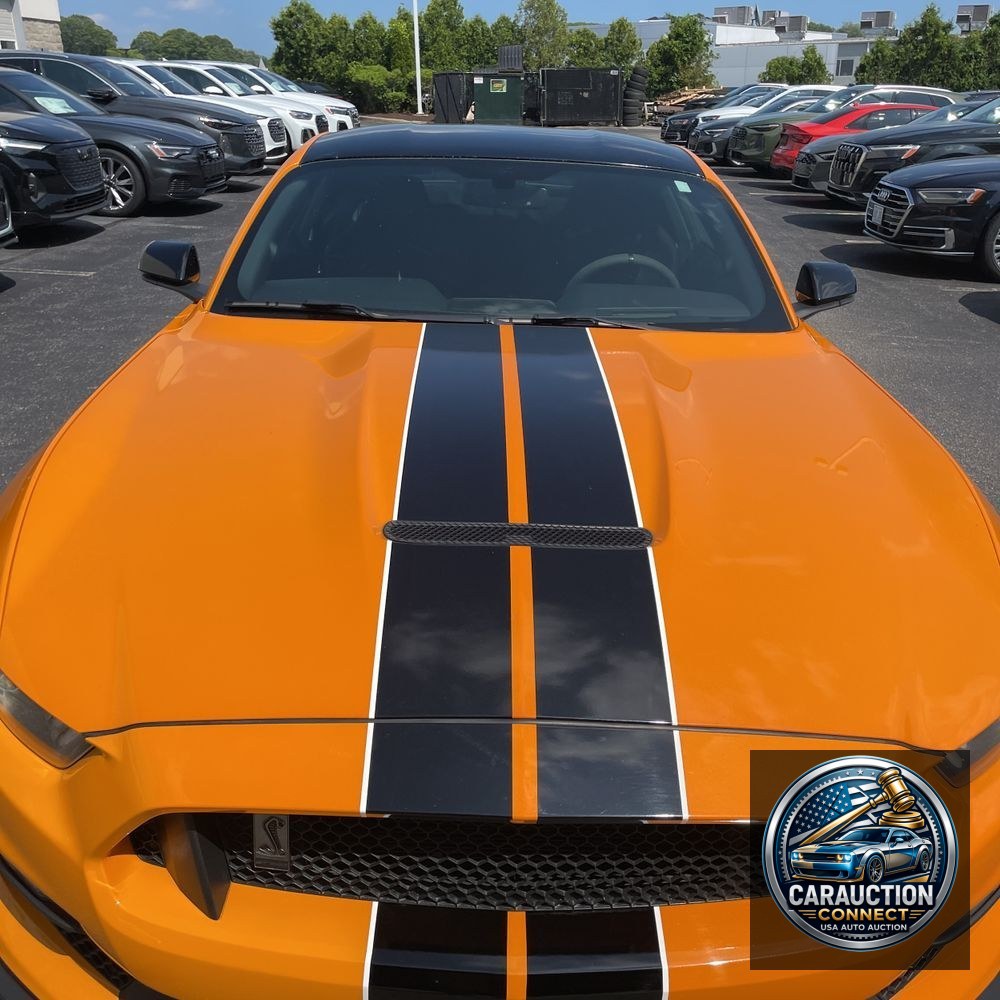 2018 Ford Mustang Shelby GT350