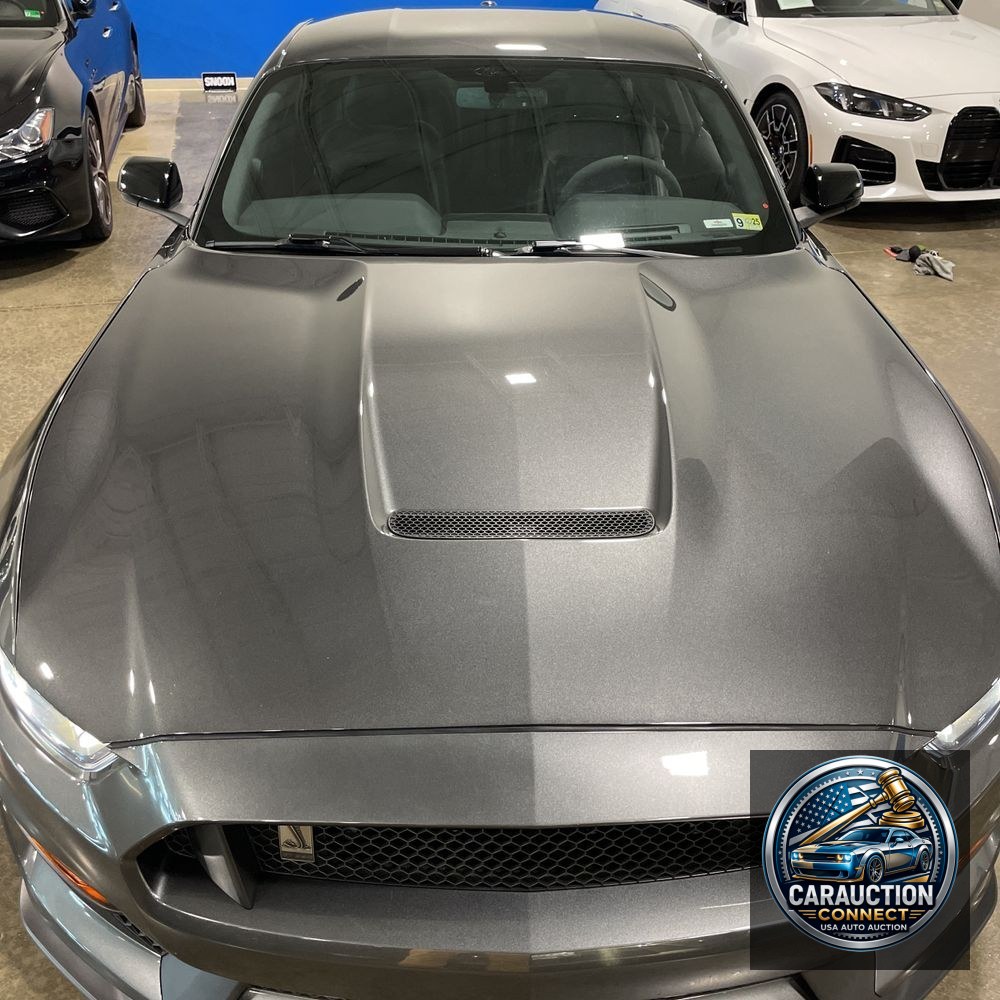 2018 Ford Mustang Shelby GT350
