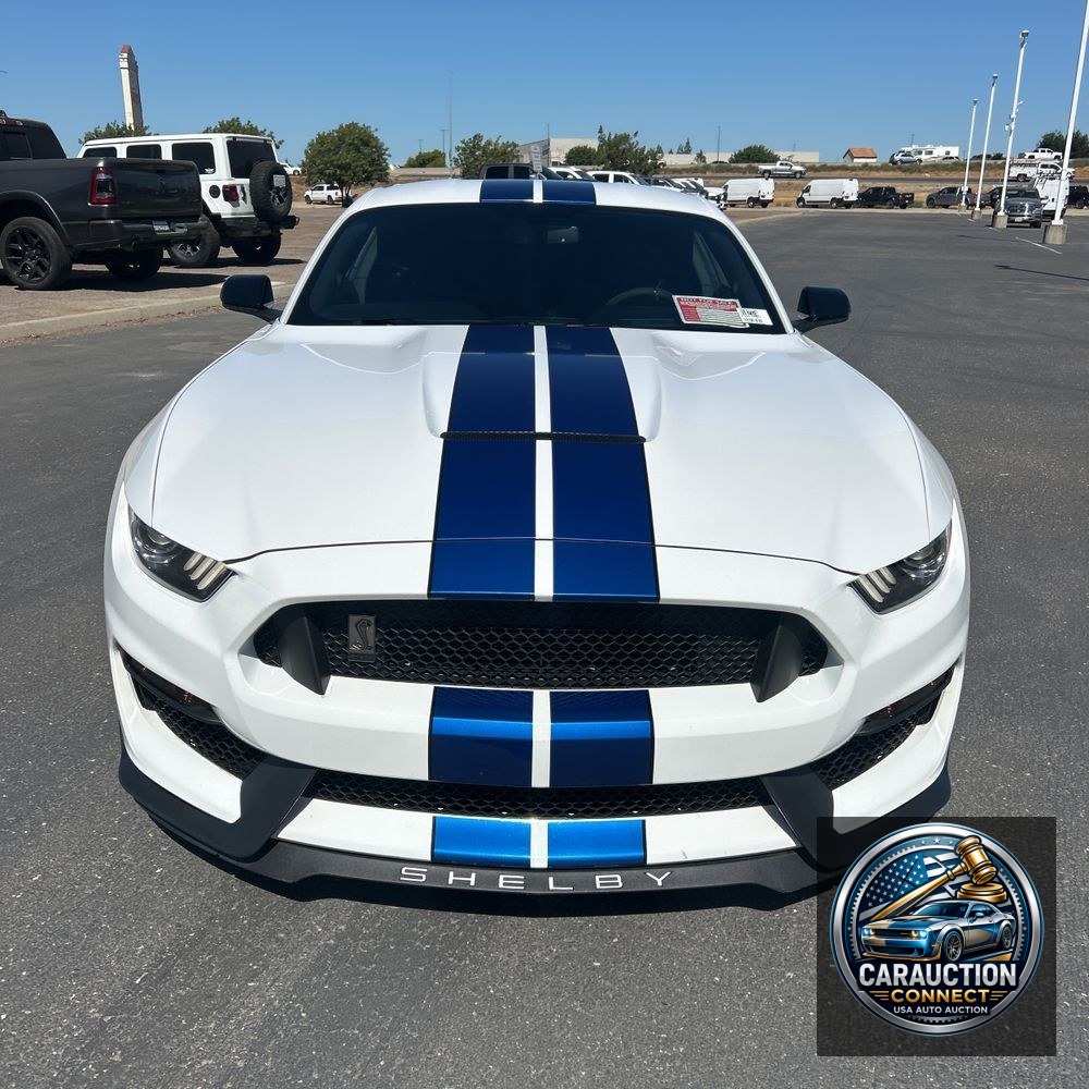 2017 Ford Mustang Shelby GT350