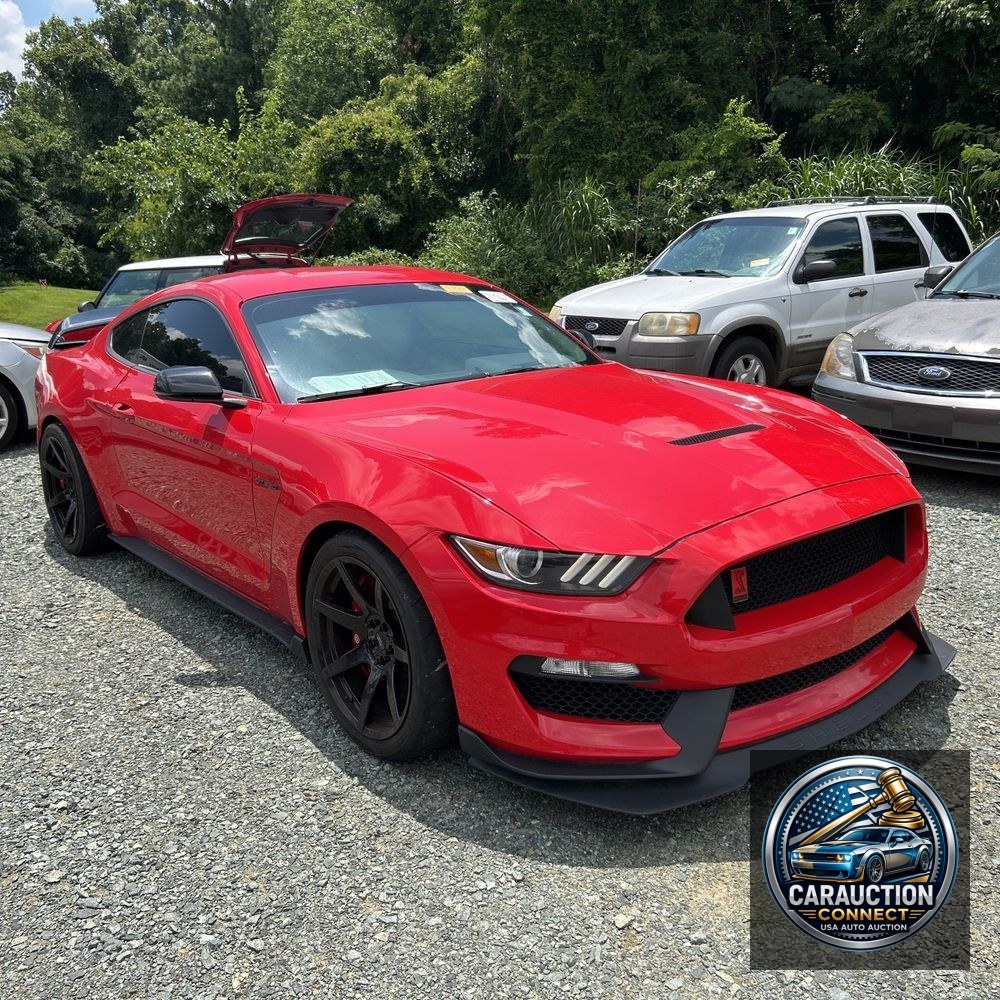 2019 Ford Mustang Shelby GT350R