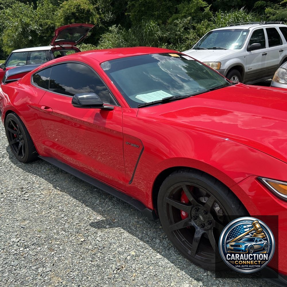 2019 Ford Mustang Shelby GT350R