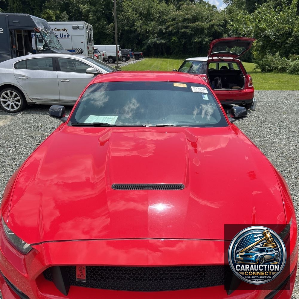2019 Ford Mustang Shelby GT350R